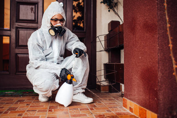 Attic and Crawl Space Rodent Treatment in Toro Canyon
